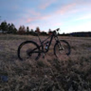 Meet your Posher, Weston